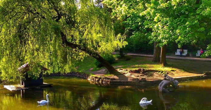 stryjskyj park Без категорії
